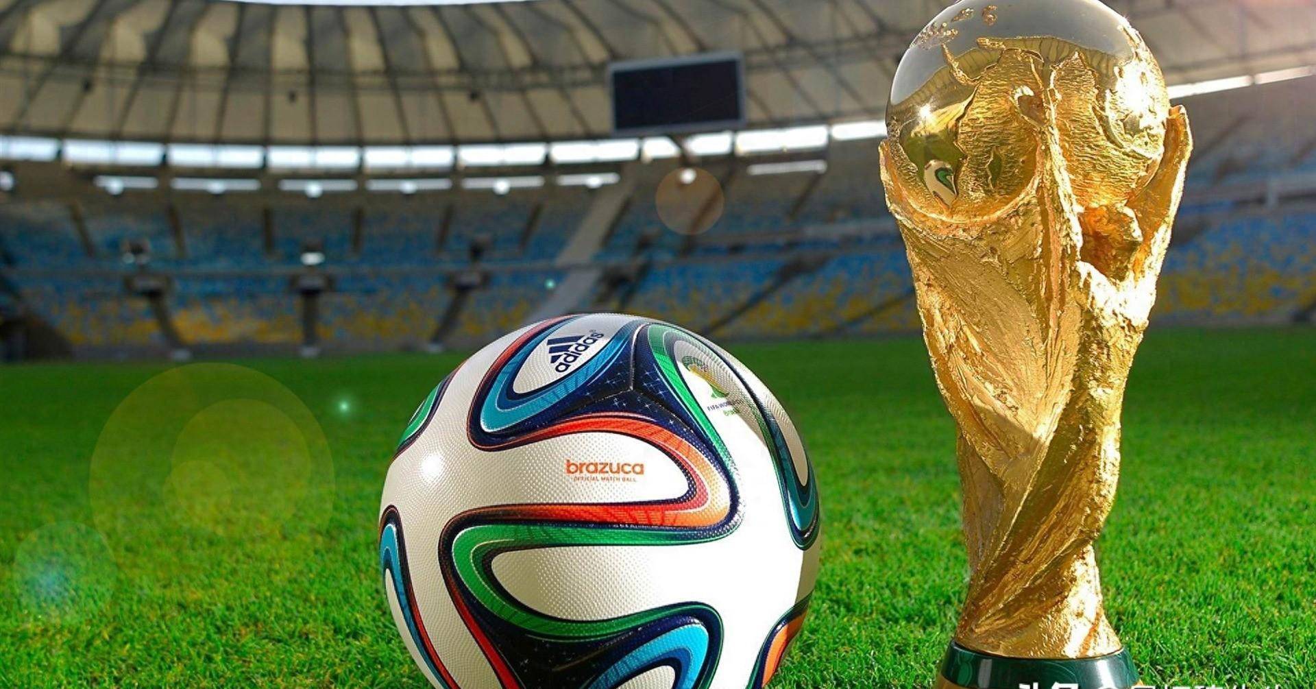 再次看到 再次看到