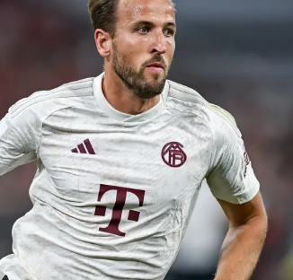 定和临场发 定和临场发