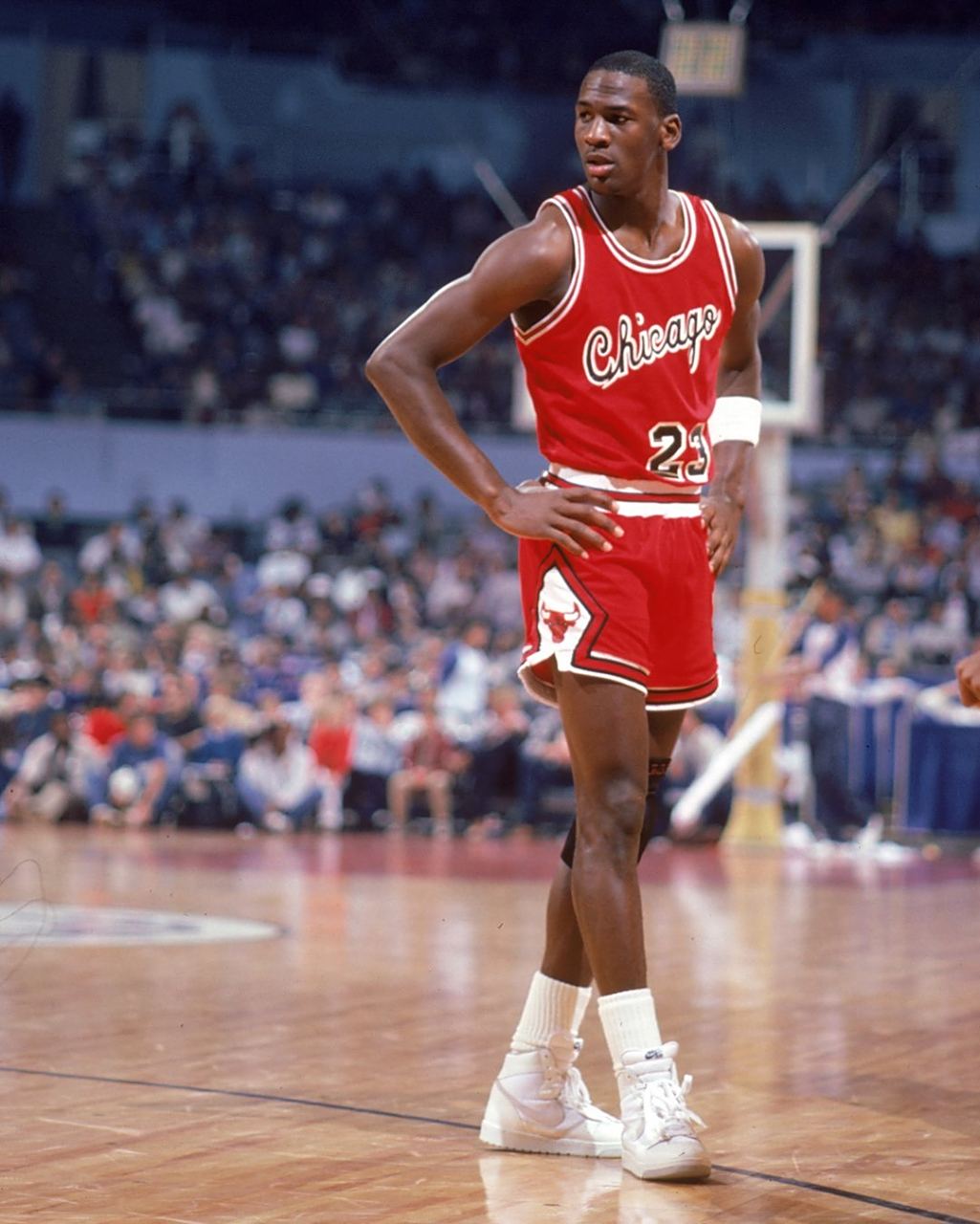 强势回归的 强势回归的